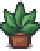 plant_mini
