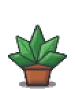 plant_small
